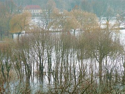 Tennisplatz oder Mangrovenwald