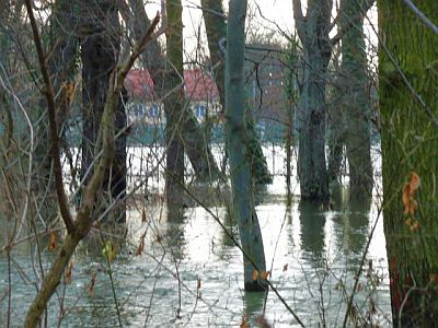Das Clubhaus im Wasser
