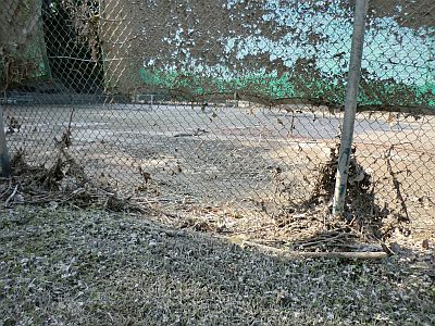 Ob das noch Sinn macht?